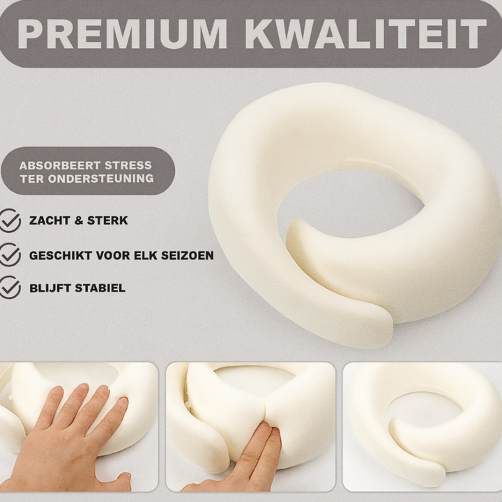 Ergonomisch Reiskussen