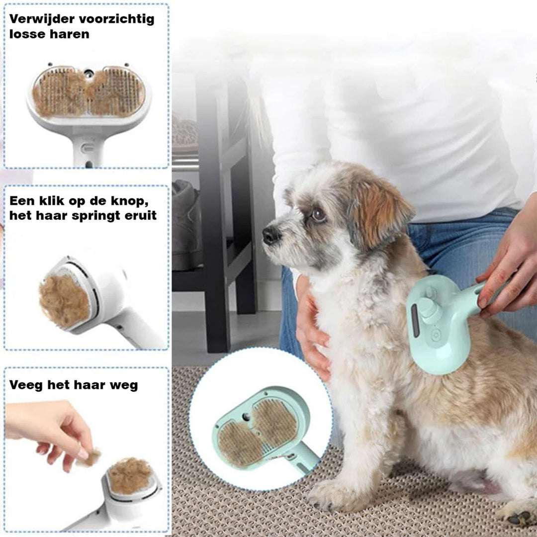 PawSpa