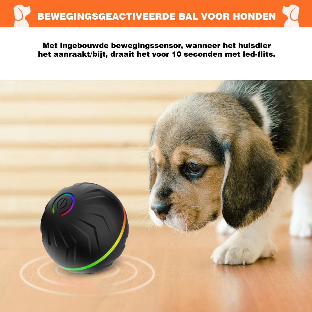 Slimme stuiterbal